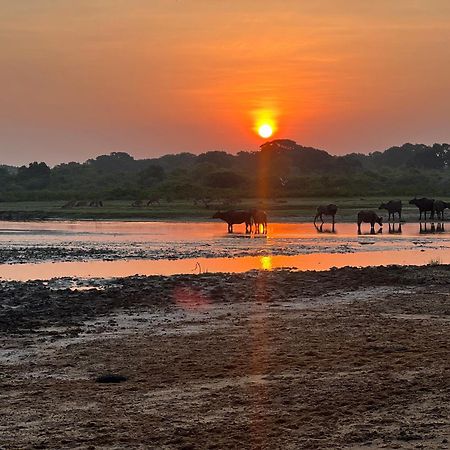 Kingfisher Beach Resort-Yala 基林德 外观 照片