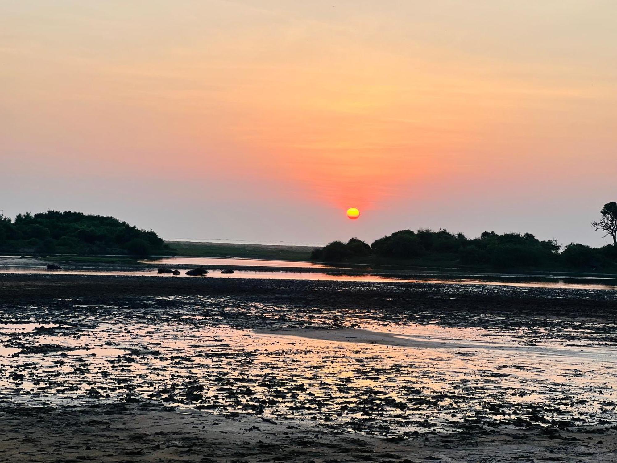 Kingfisher Beach Resort-Yala 基林德 外观 照片